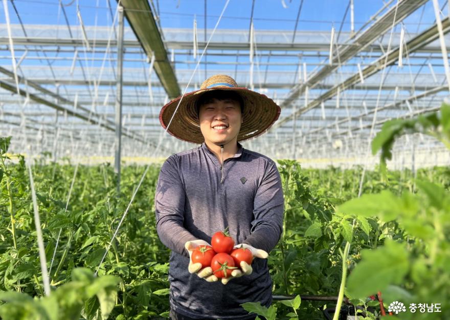 토마토처럼 쑥쑥 성장하는 청년 농부