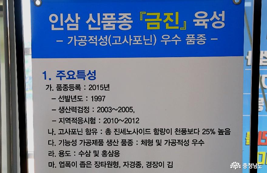 2023대한민국 우수 품종상에 출품한 금선 충남농업기술원 인삼약초연구소 사진