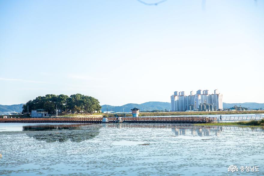 정식 개장이 기다려지는 부여의 새로운 관광명소 '반산저수지' 사진