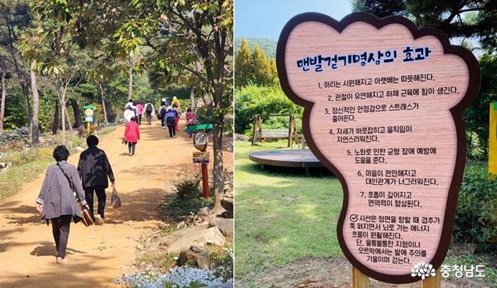 국학원, 온가족이 함께 하는 ‘해피로드 맨발걷기 축제’ 개최 사진