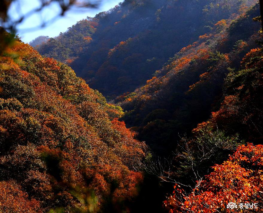 대둔산 충남도립공원 가을 최절정 사진