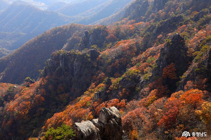 대둔산 충남도립공원 가을 최절정 사진