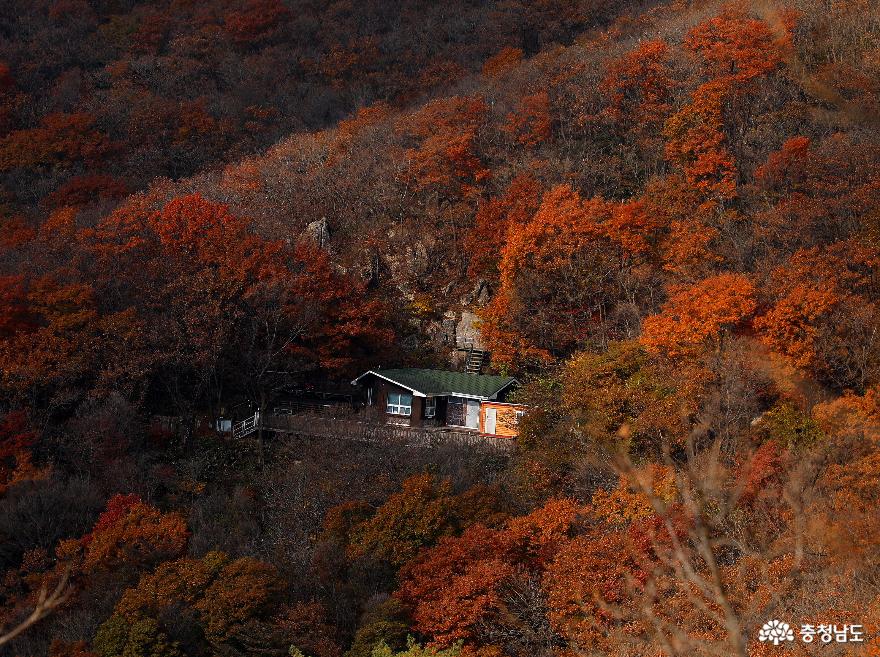 대둔산 충남도립공원 가을 최절정 사진