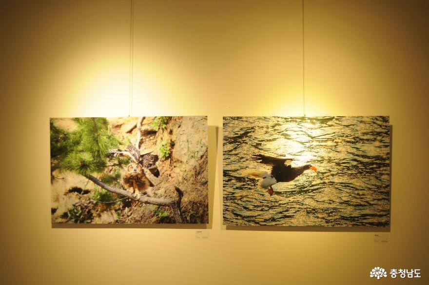 한국도량형박물관에서 만나는 우리고장의 새와 시문학 사진