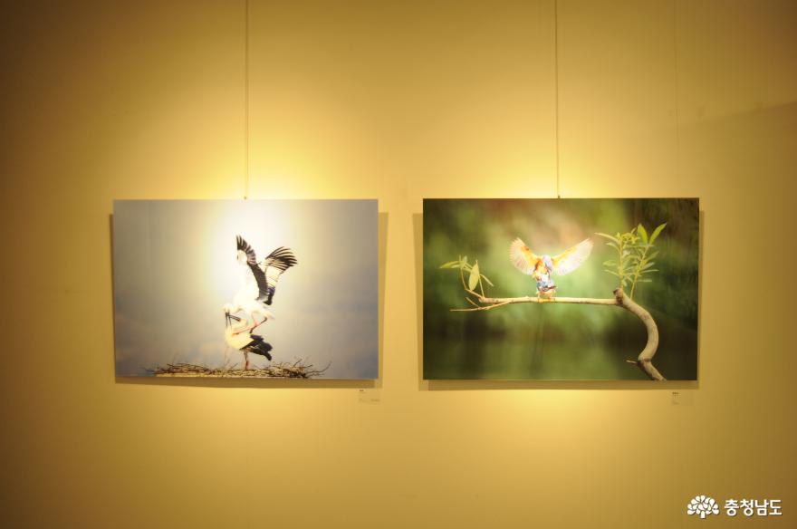 한국도량형박물관에서 만나는 우리고장의 새와 시문학 사진
