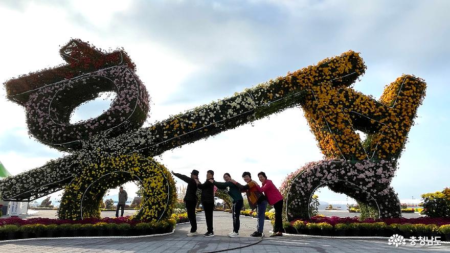 2023 홍성 국화 축제 사진