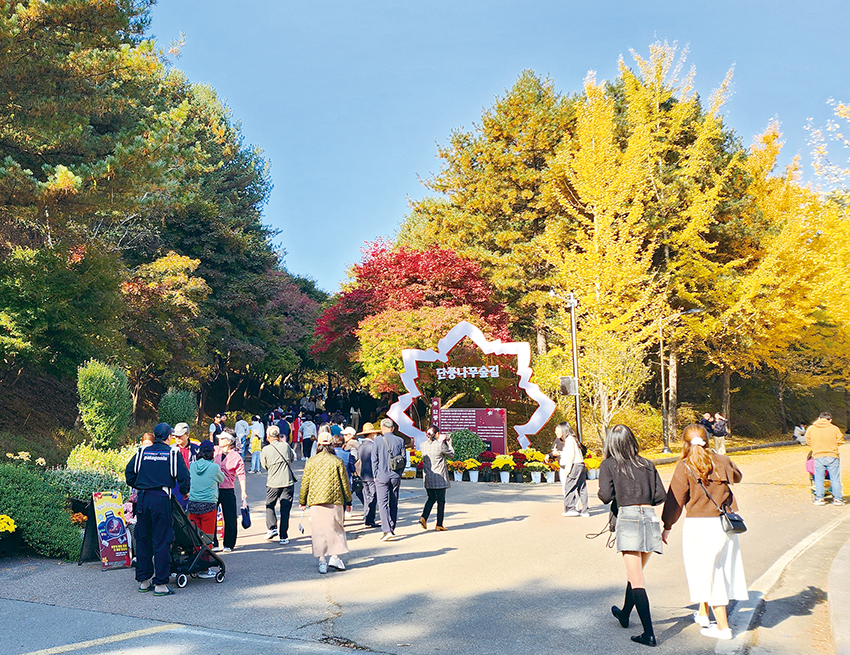 독립기념관 단풍나무숲길에 관람객들이 모였다.