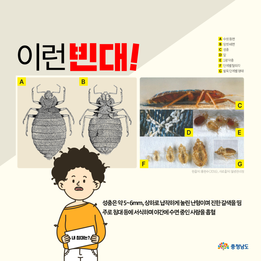 충남, 빈대 피해 예방 선제 대응 사진