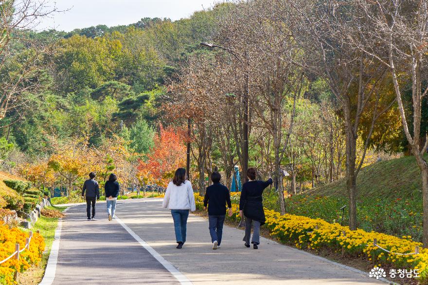 가을 향기가 가득한 논산시민가족공원 산책하기 사진
