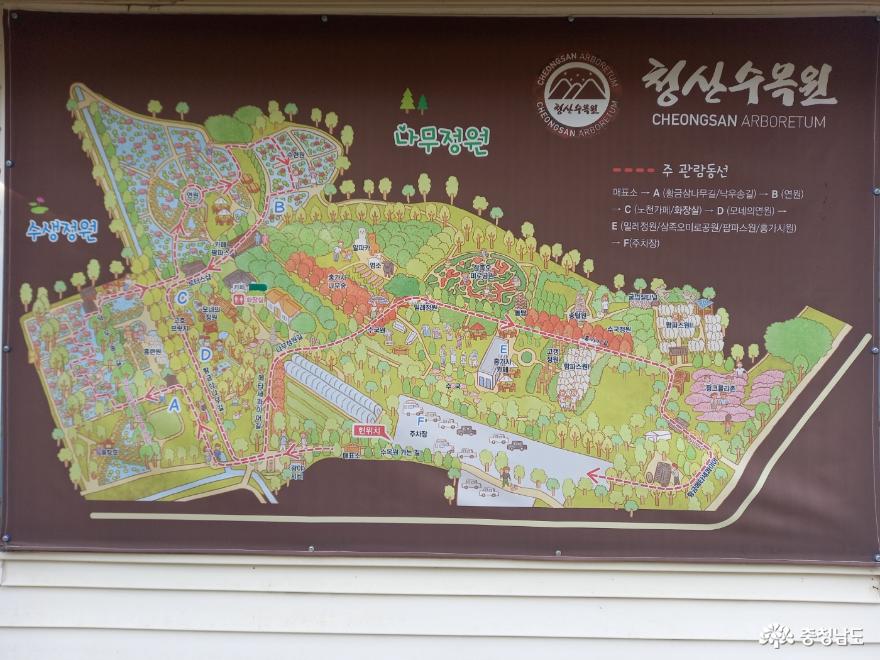 여행 - 가을 사진 맛집 태안 청산수목원으로 고고~ - 충청남도 가을 사진 맛집 태안 청산수목원으로 고고~