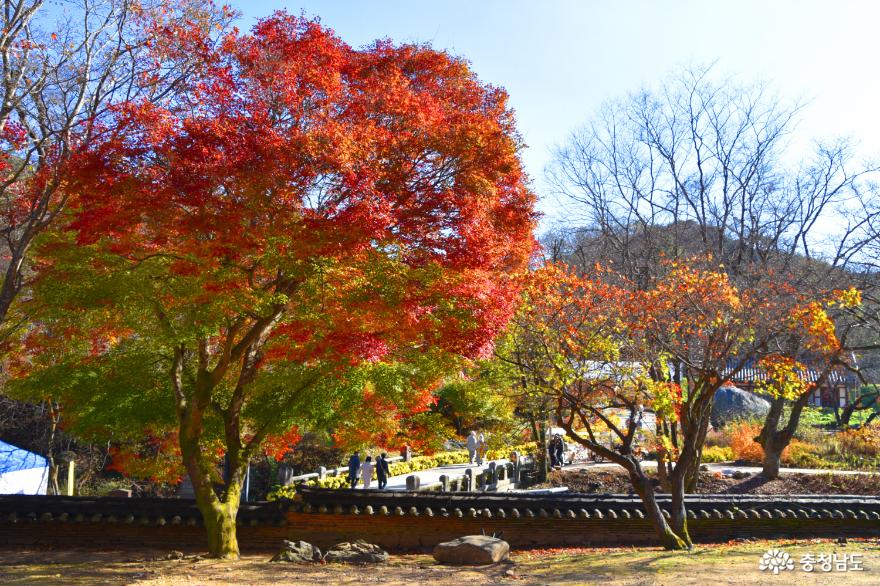 충남관광