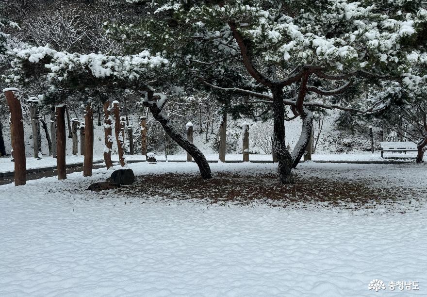 청양장승공원의아름다운겨울 19