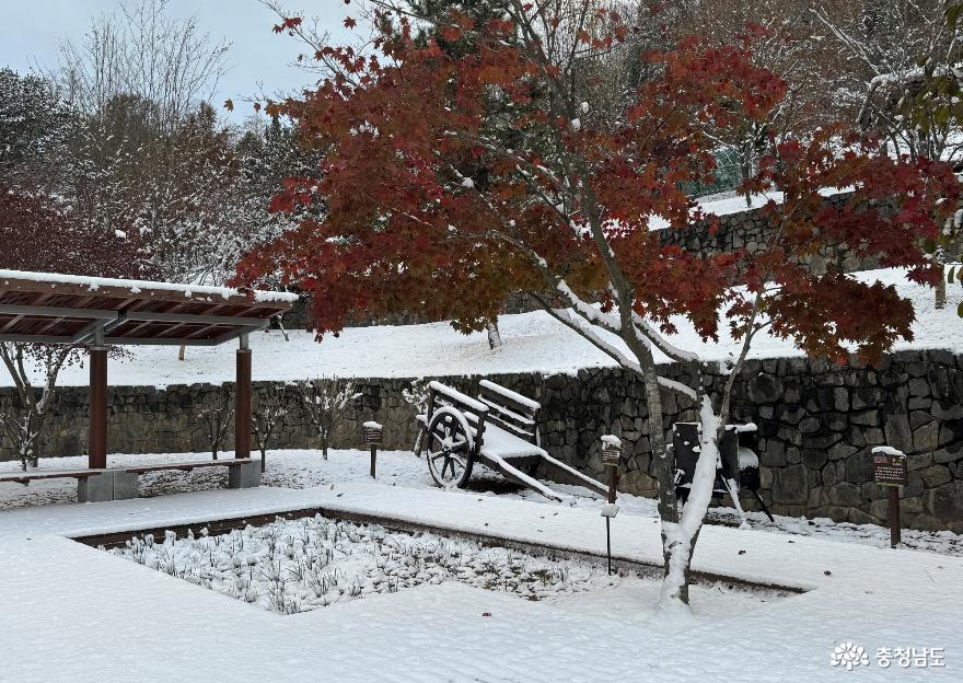 예산시장 근교 삽티공원의 겨울 사진