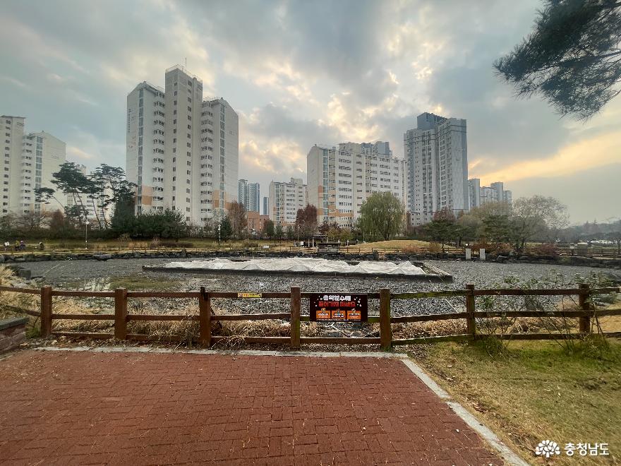 천안 청수호수공원 방문후기 사진