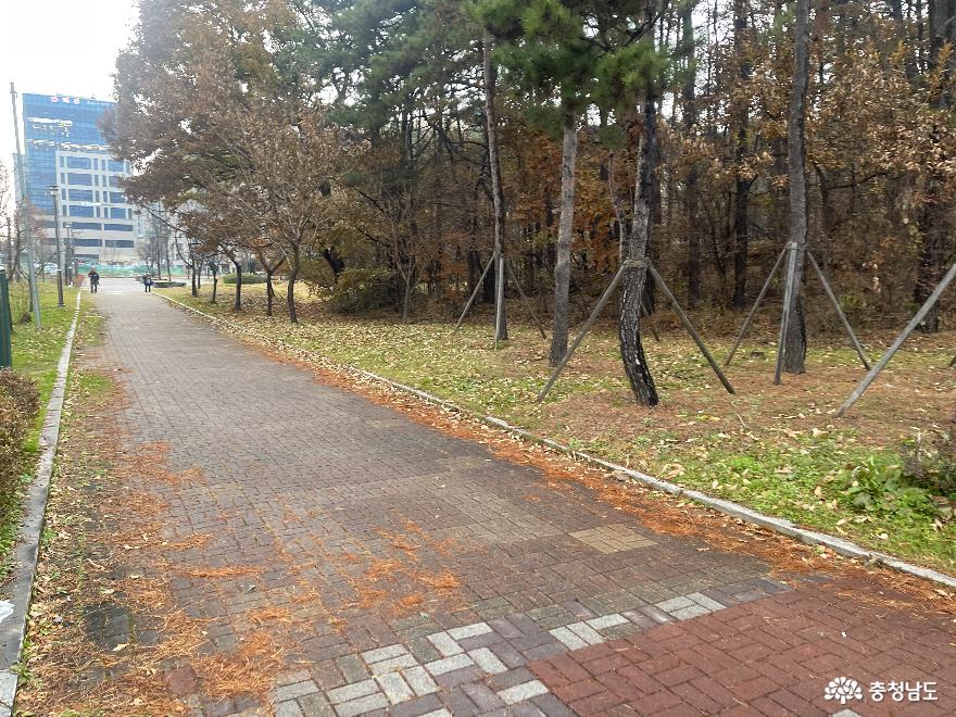 천안 청담2공원 방문후기 사진