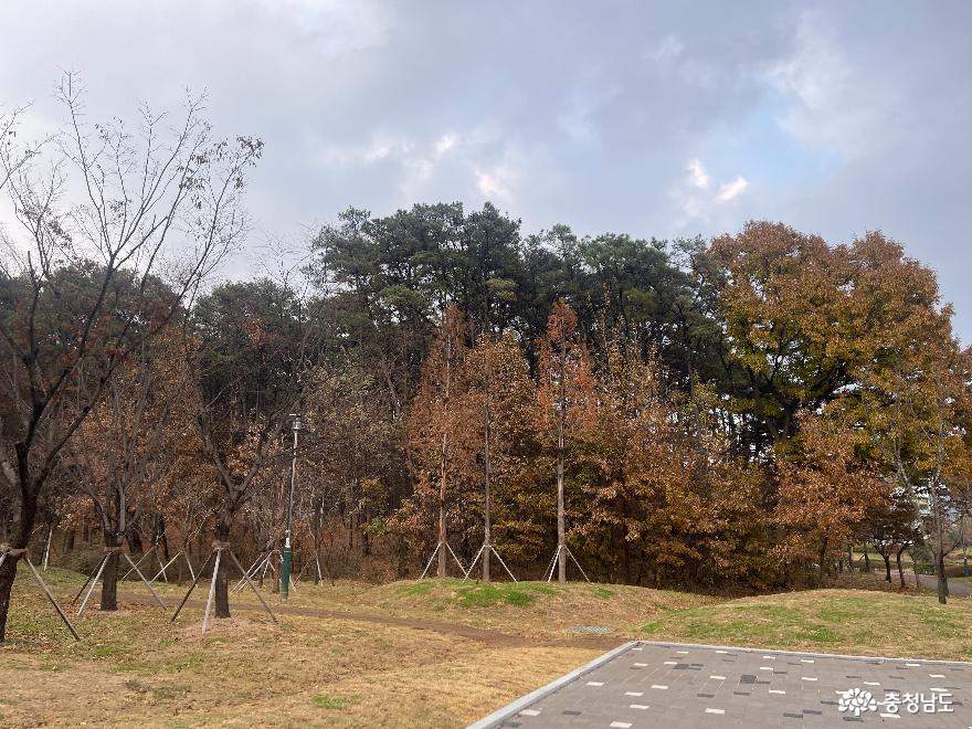 천안 청담2공원 방문후기 사진