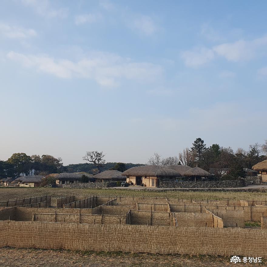 월동 준비가 한창인 외암민속마을 사진