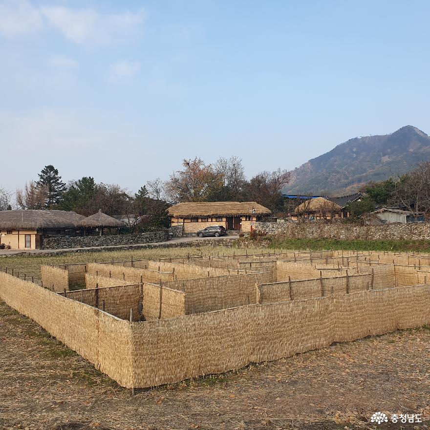 월동 준비가 한창인 외암민속마을 사진