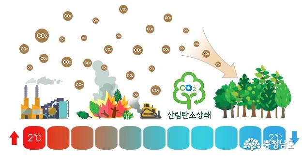 충남도, 산림탄소상쇄사업 박차 가한다