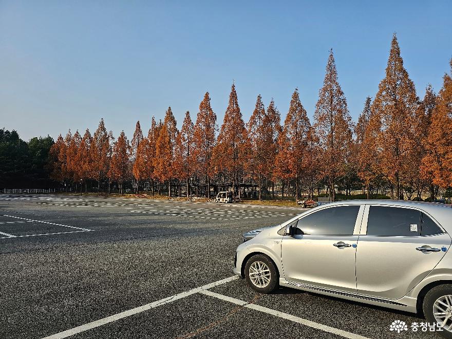 충남 금강자연휴양림의 황토 메타길에서 어싱하기 사진