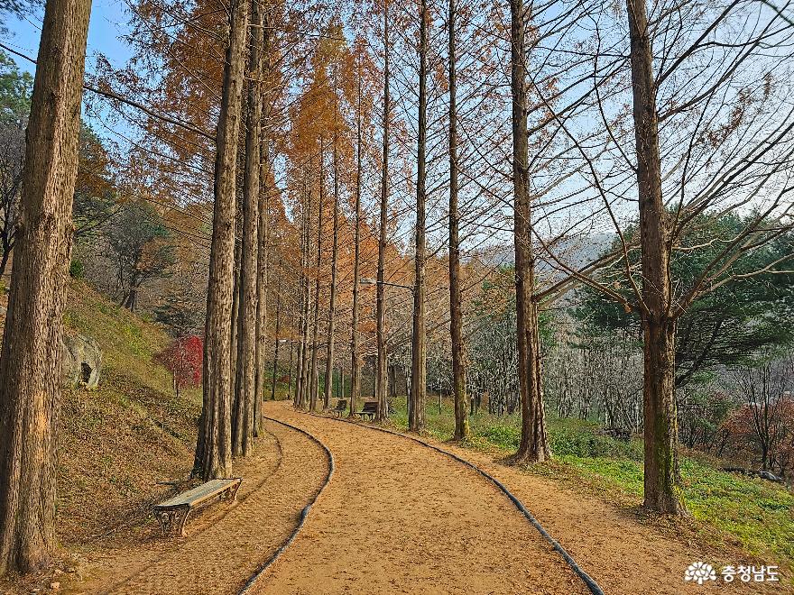 충남 금강자연휴양림의 황토 메타길에서 어싱하기 사진