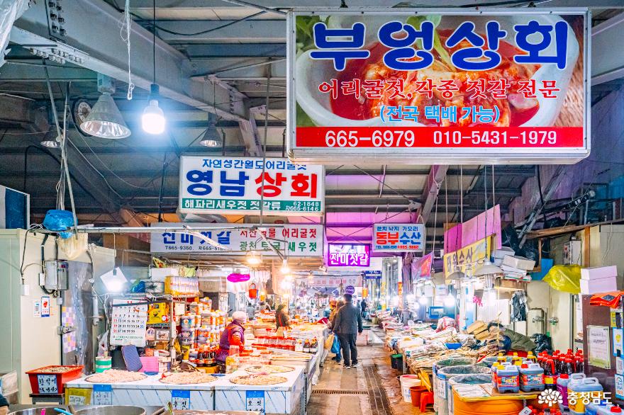 충남관광