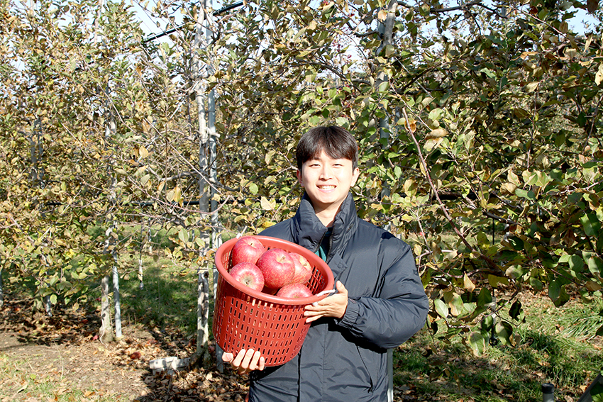 손주현 청년농부가 직접 재배한 사과를 선보이고 있다. /사진 최현진 