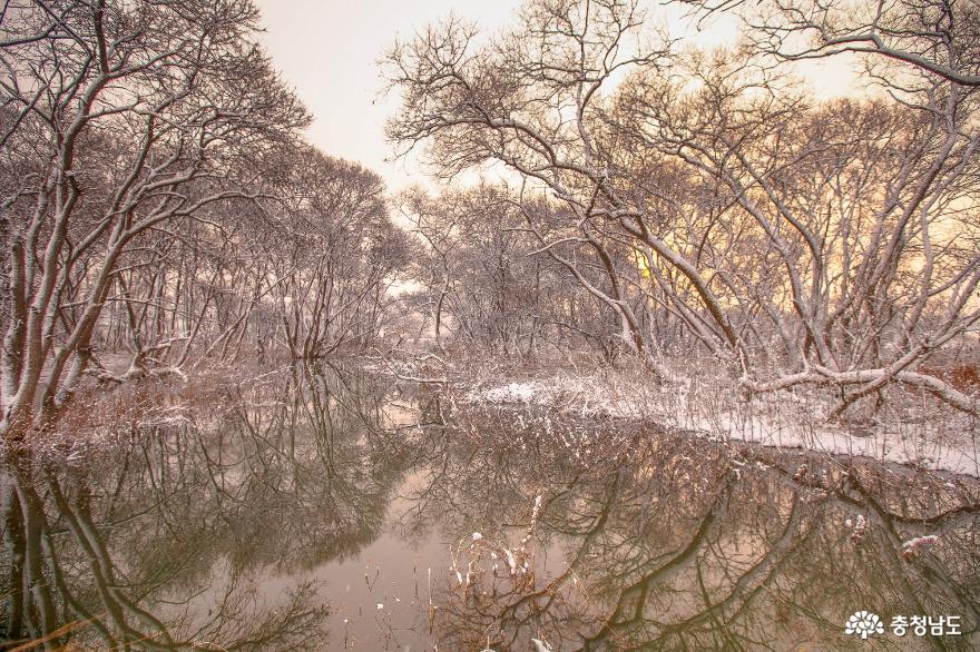 아름다운 예당저수지 겨울 풍경 사진