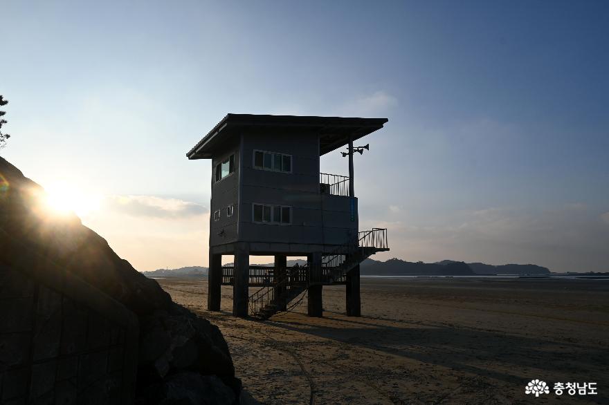 태안 여행지 추천 국내 최대 사구인 신두리 해안사구 사진