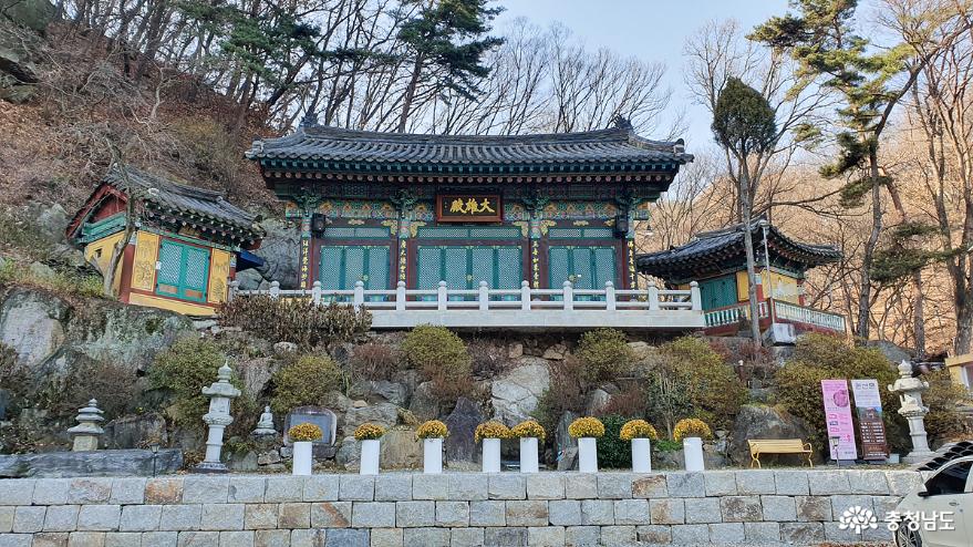 > > >충남관광 충남관광