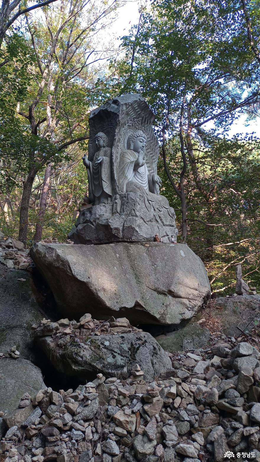 충남관광