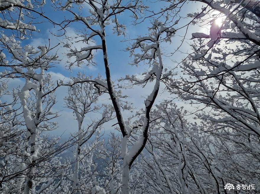 하얀눈꽃모자쓴광덕산겨울풍경 7