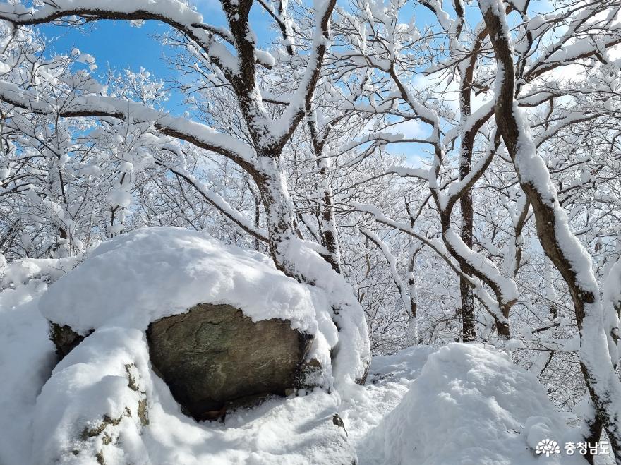 하얀눈꽃모자쓴광덕산겨울풍경 8