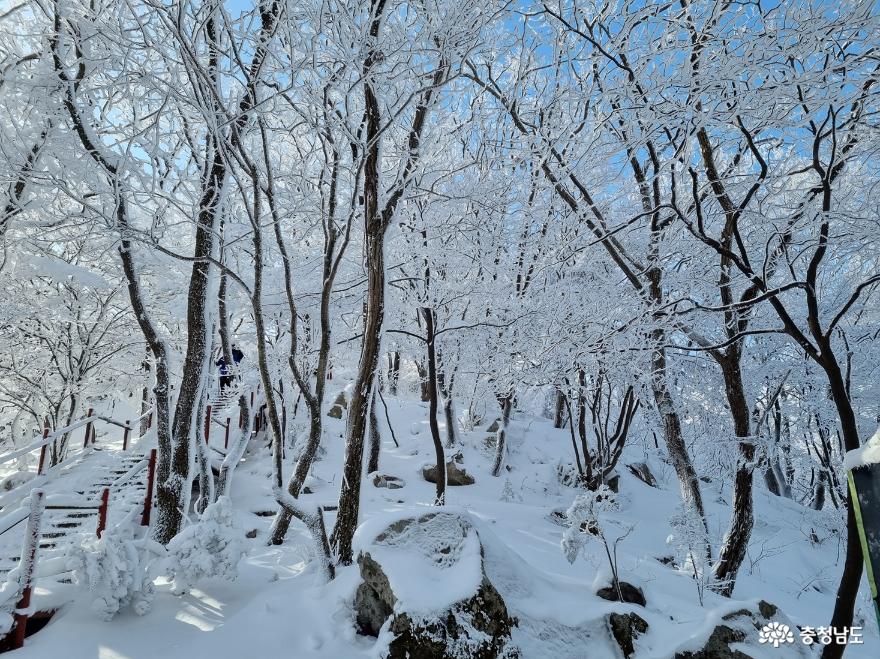 하얀눈꽃모자쓴광덕산겨울풍경 9