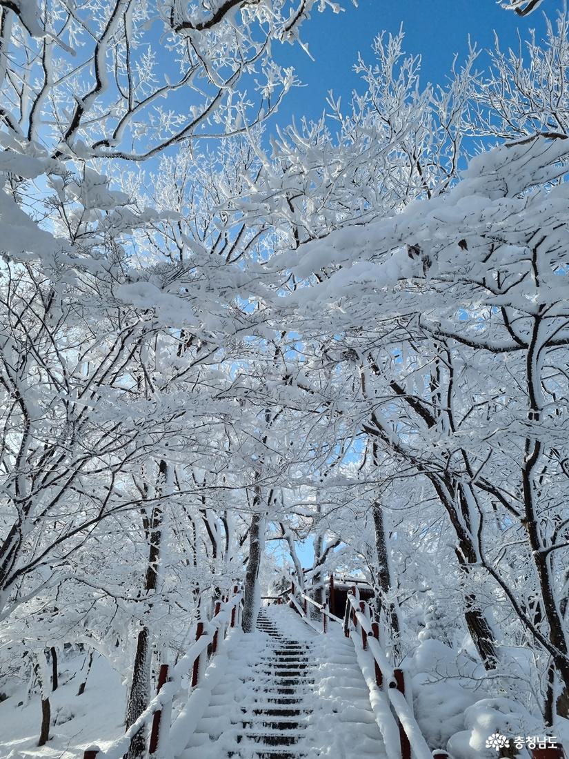 하얀눈꽃모자쓴광덕산겨울풍경 10