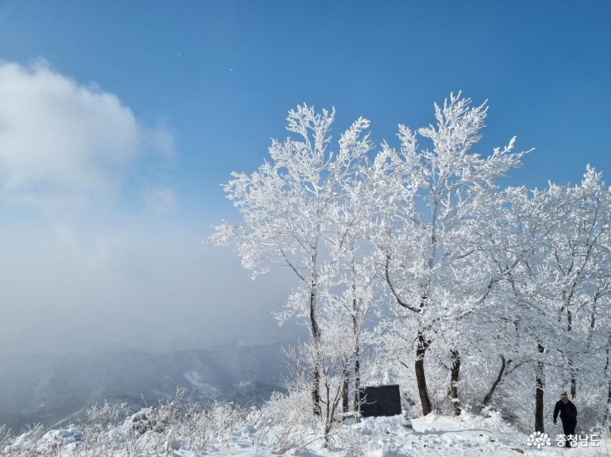 하얀눈꽃모자쓴광덕산겨울풍경 12