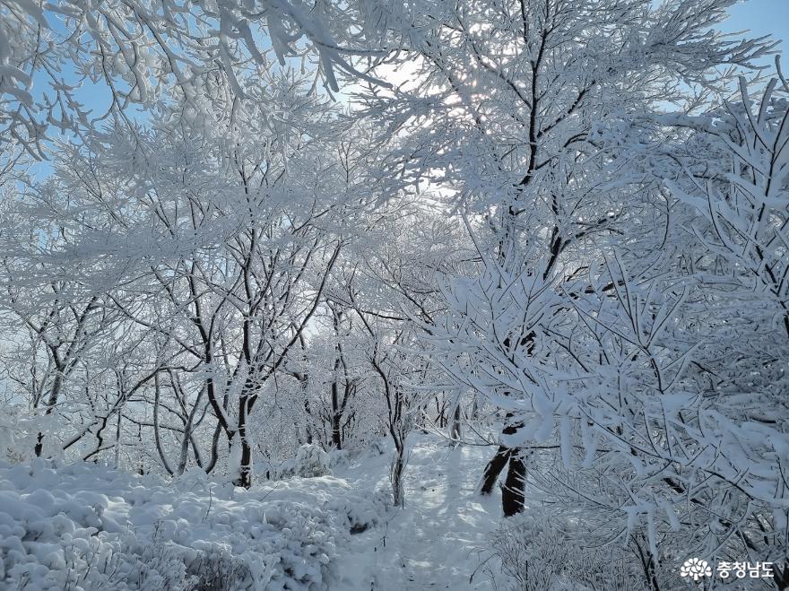 하얀눈꽃모자쓴광덕산겨울풍경 16