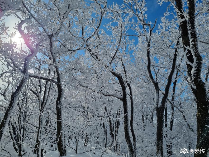 하얀눈꽃모자쓴광덕산겨울풍경 17