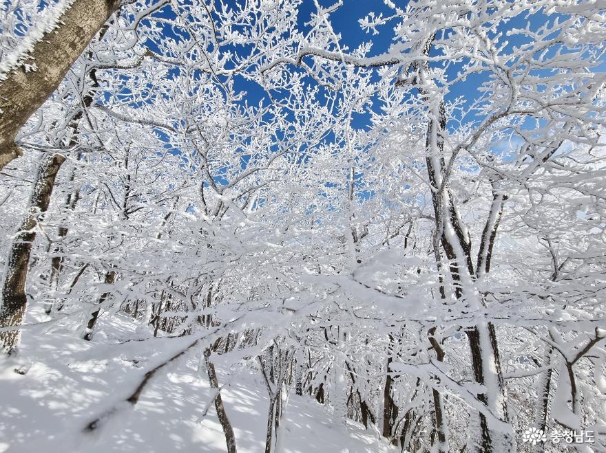 하얀눈꽃모자쓴광덕산겨울풍경 18
