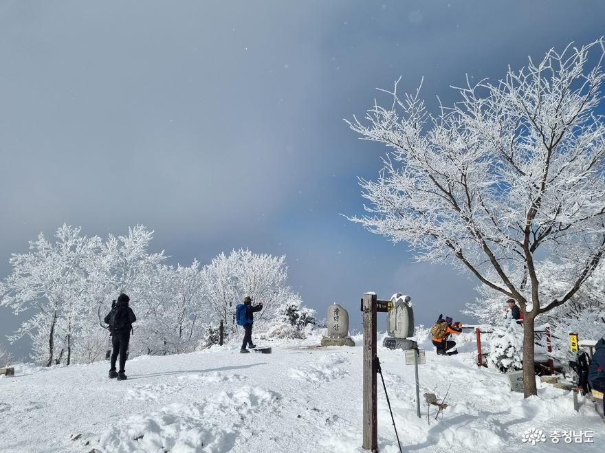 하얀눈꽃모자쓴광덕산겨울풍경 19