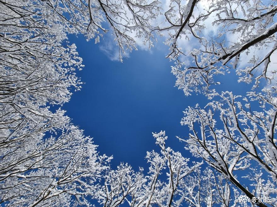하얀 눈꽃 모자 쓴 광덕산 겨울풍경