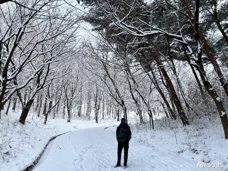 눈 내린 겨울 아미산 풍경 사진
