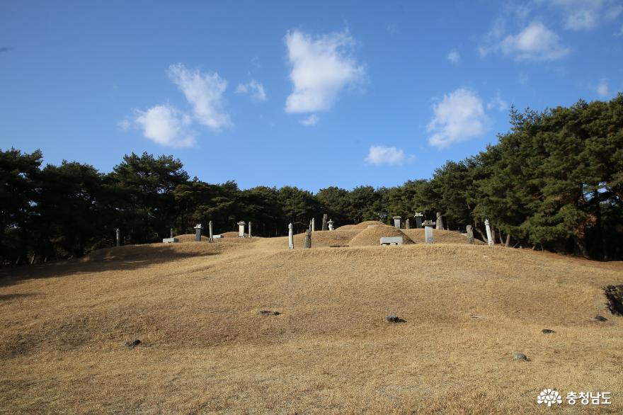 조선시대재실의흔적이있는계룡시의모원재와묘역 8