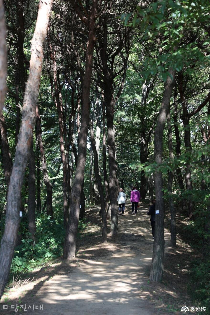 ‘계림공원’ 시민의 공원으로 탈바꿈…맨발산책로 조성