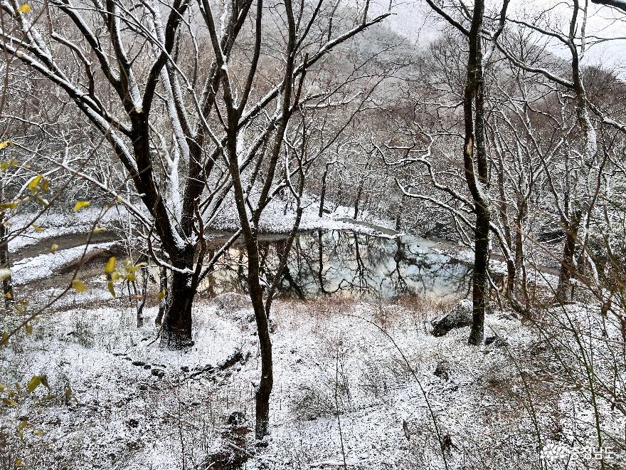 함박눈 내리는 갑사의 아름다운 겨울 풍경 사진