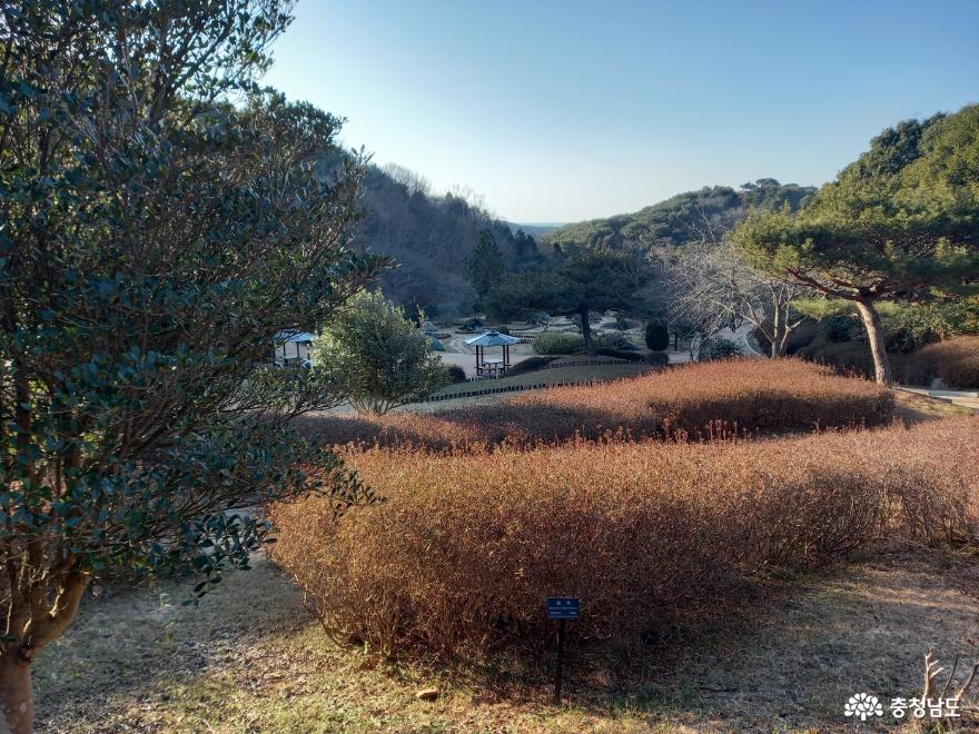 태안 여행 필수 코스 - 안면도 수목원 사진