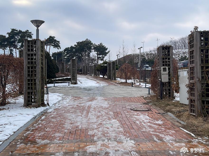 천안/아산 용곡공원 방문 후기 사진