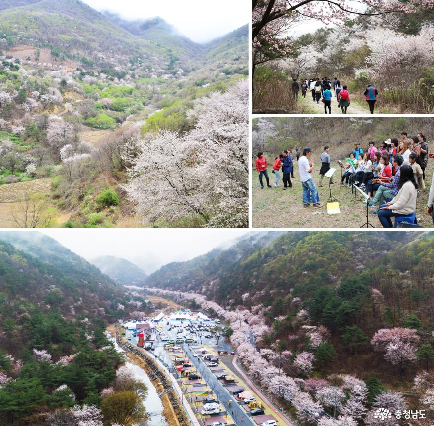 비단고을 산꽃축제 모습 - 출처 : 금산군청 홈페이지