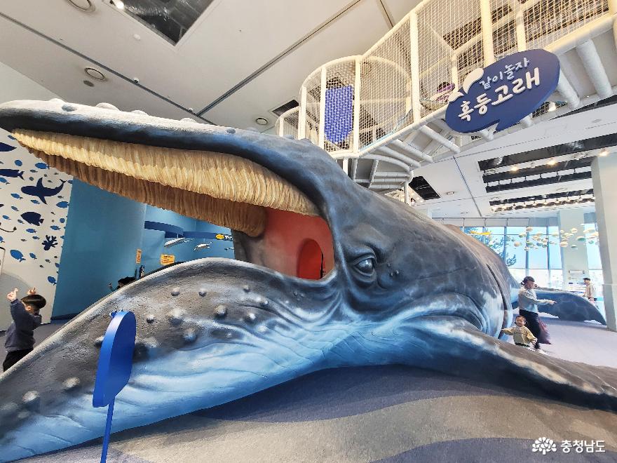 충남관광