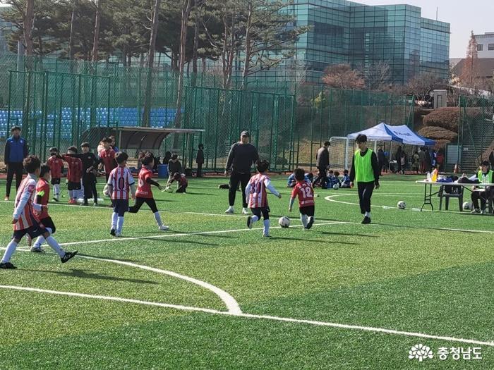 제4회 천안시체육회장배 유소년축구대회…내달 23일 개최 사진